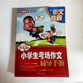 方洲新概念：小学生考场作文辅导手册（图文版）