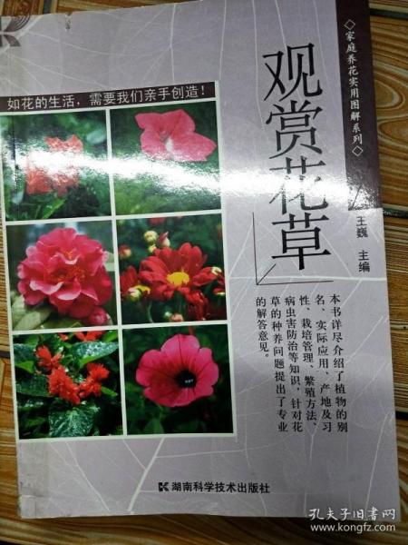 K1587 家庭养花实用图解系列 观赏花草