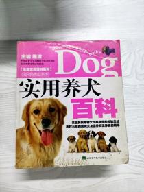 YS1000527 实用养犬百科