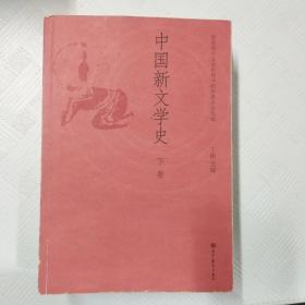 中国新文学史（下册）