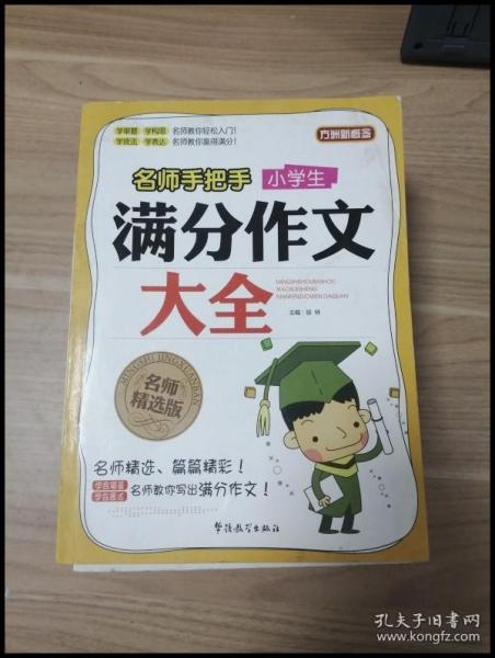 方洲新概念·名师手把手：小学生满分作文大全