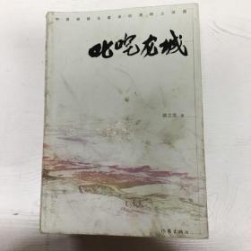 YI1023527 叱咤龙城【有瑕疵；封面污渍】（一版一印）