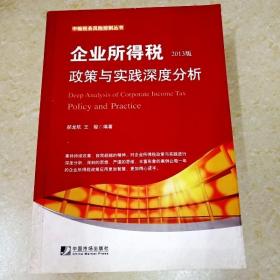 中翰税务风险控制丛书：企业所得税政策与实践深度分析（2013版）