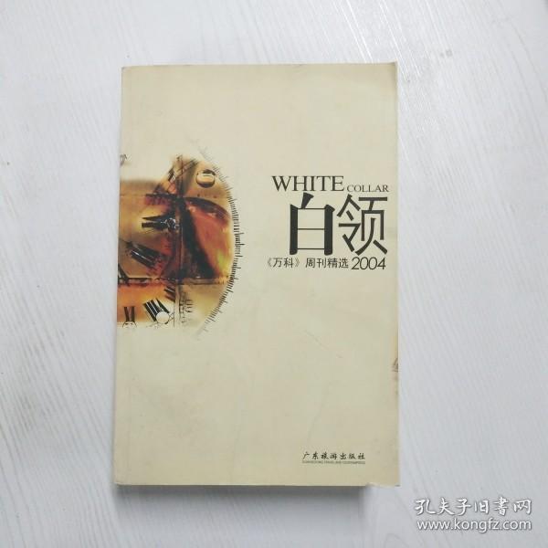 白领2004:《万科》周刊精选