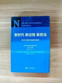 新时代新征程新担当——2019年湖南发展研究报告