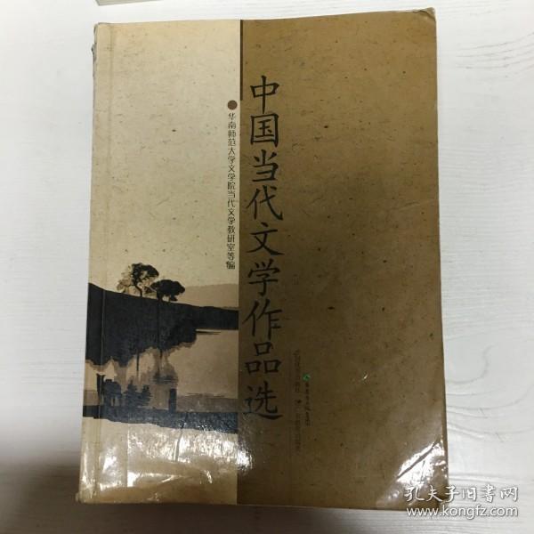 中国当代文学作品选