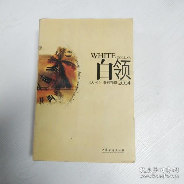 白领2004:《万科》周刊精选