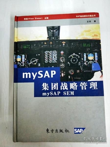 mySAP集团战略管理