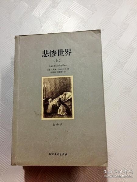 世界文学名著:悲惨世界(全译本)(套装共2册)