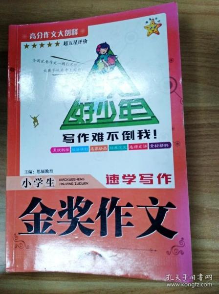 海星作文 作文好少年小学生（套装共8册）