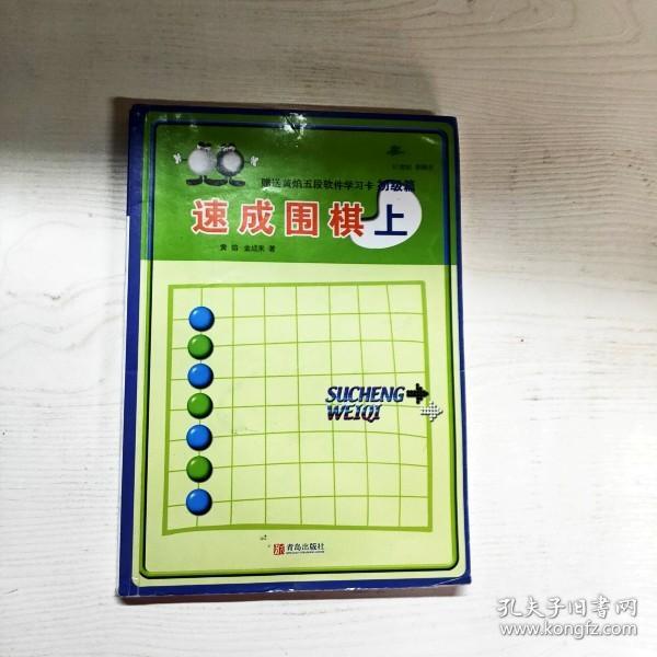 初级篇-速成围棋(上)