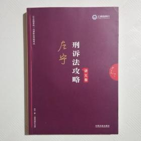 司法考试2019 上律指南针 2019国家统一法律职业资格考试：左宁刑诉法攻略·讲义卷