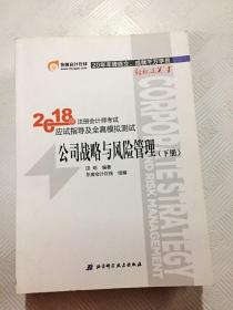 注册会计师2018教材东奥轻松过关1应试指导及全真模拟测试 公司战略与风险管理 上下册