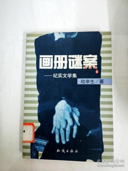 画册谜案--纪实文学集