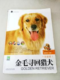 金毛寻回猎犬