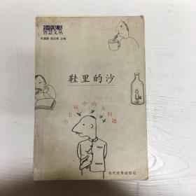 鞋里的沙-小毛病中的大问题