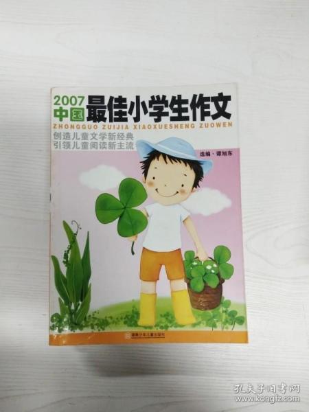 2007中国最佳小学生作文