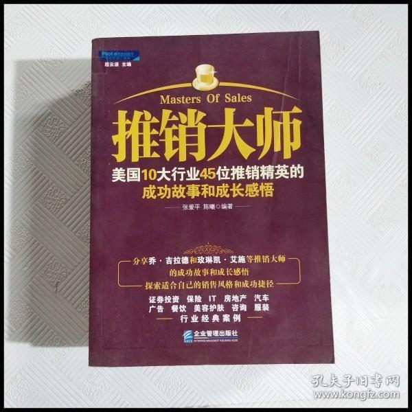 推销大师：美国10大行业45位推销精英的成功故事和成长感悟