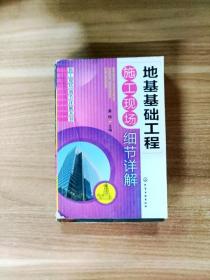 施工现场细节详解丛书：地基基础工程施工现场细节详解