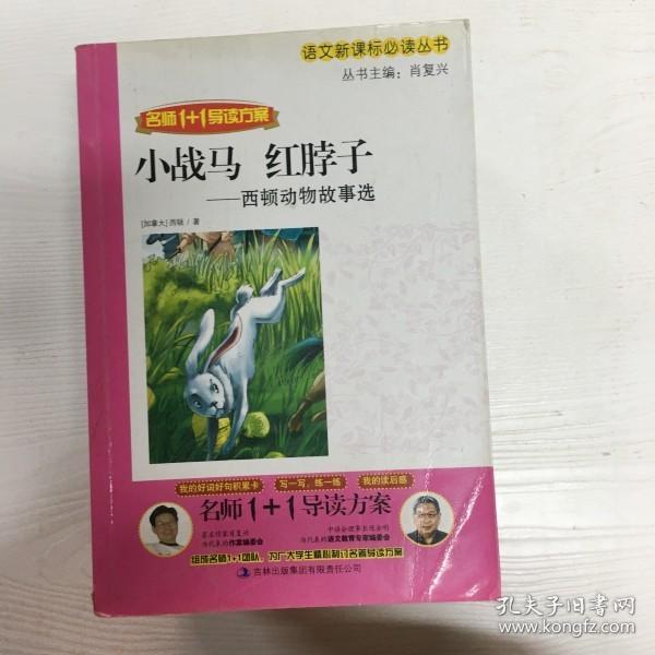   小战马 红脖子