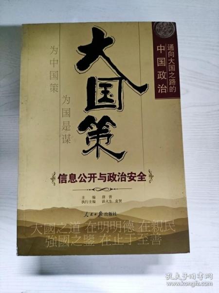 大国策——通向大国之路的中国政治：信息公开与政治安全