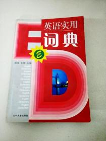 DI105515 英语实用词典