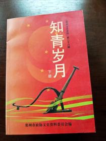 EA6004984 知青岁月  下册--《郑州文史资料 》第二十八辑含难忘的房东情/爱从那里开始等