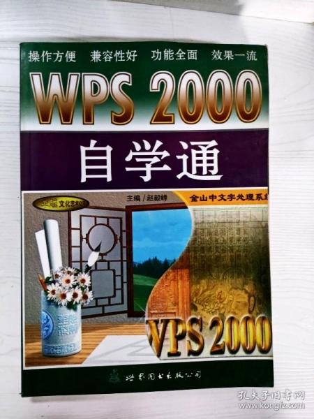 YT1001623 WPS 2000自学通