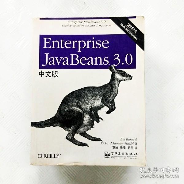 Enterprise JavaBeans 3.0中文版