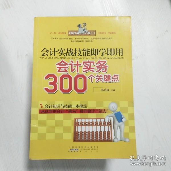 会计实战技能即学即用：会计实务300个关键点