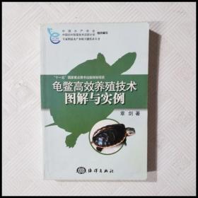 龟鳖高效养殖技术图解与实例