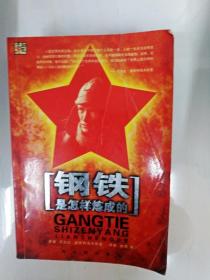 DA215400 钢铁是怎样炼成的（一版一印）