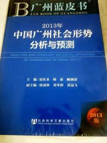 DDI246261 2013年中国广州社会形式分析与预测--广州蓝皮书（全新未拆封）