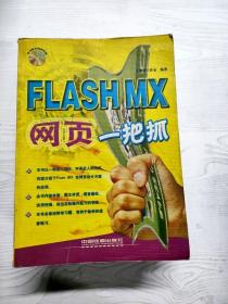 YT1010082 Flash MX网页一把抓