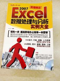 Excel2007数据处理与分析实例大全