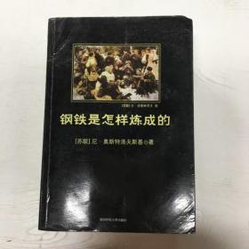 钢铁是怎样炼成的