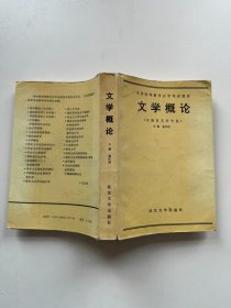 文学概论（汉语言文学专业）