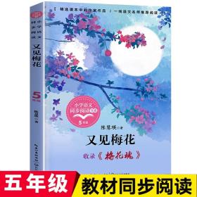 又见梅花（五年级下）（长江文艺22）五年级课外阅读书籍