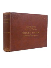 稀缺《植物王国图谱 》 109彩色版画插图，约1874年出版。