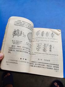 80年代初中植物学全一册           **01