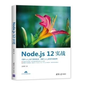 node.js 12实战 编程语言 赵荣娇 新华正版
