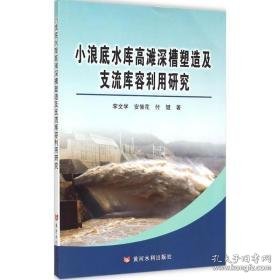 小浪底水库高滩深槽塑造及支流库容利用研究 水利电力 李文学,安催花,付健  新华正版