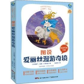 太有趣了,名著! 图说爱丽丝漫游奇境  作者 新华正版