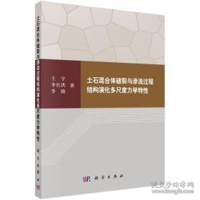 土石混合体破裂与渗流过程结构演化多尺度力学特 冶金、地质 王宇,李长洪,李晓 新华正版