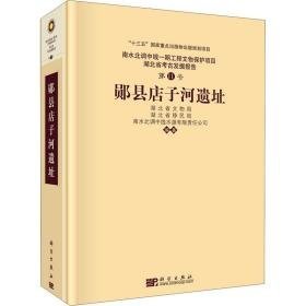 郧县店子河遗址 文物考古 作者 新华正版