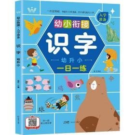 幼小衔接入学准备 识字 幼升小 低幼衔接 作者 新华正版