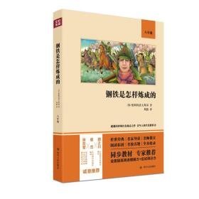 钢铁是怎样炼成的(8年级)  (苏)奥斯特洛夫斯基 新华正版