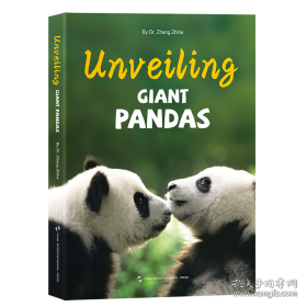 熊猫的秘密 美术画册 张志和 新华正版