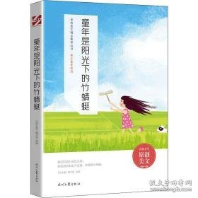 童年是阳光下的竹蜻蜓 文教学生读物  新华正版