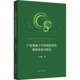 产业视域下中国城镇化的碳排放效应研究 环境科学 牛鸿蕾 新华正版